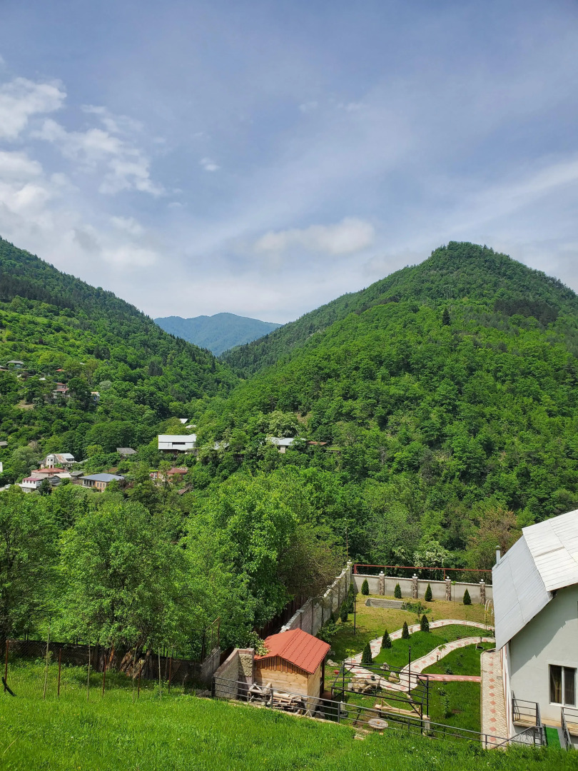 Гостевой дом Диоскурия Боржоми