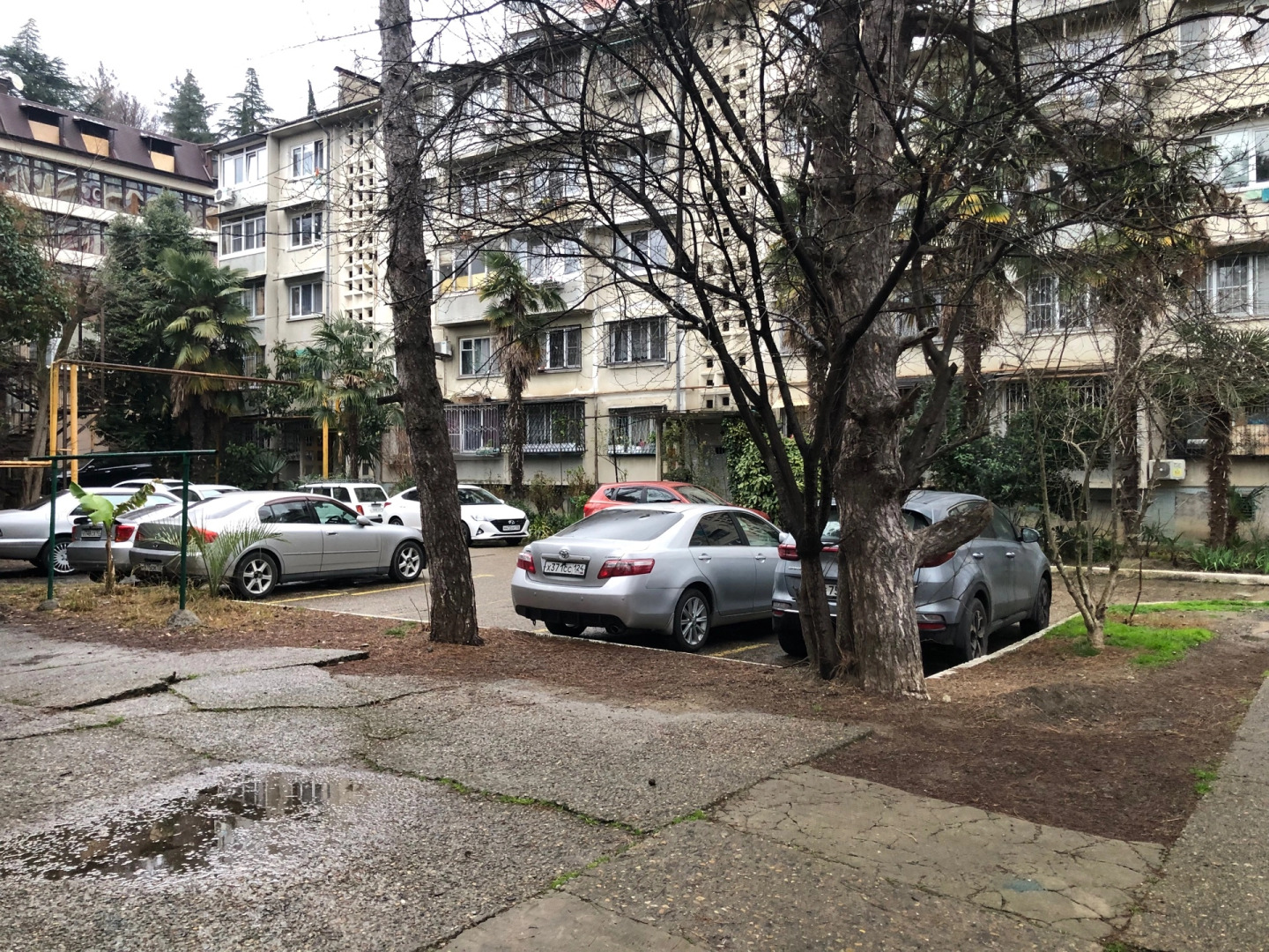 Апартаменты Сочипосуточно