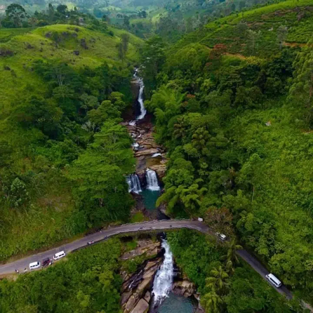 Отель The Tea Cottage Resort & Spa