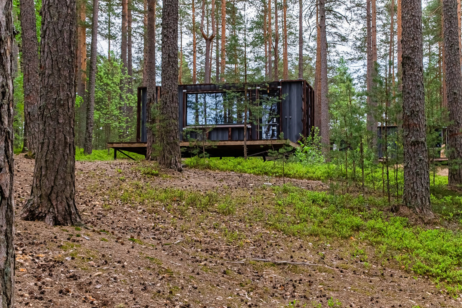 База отдыха Загородный клуб Радужный лес