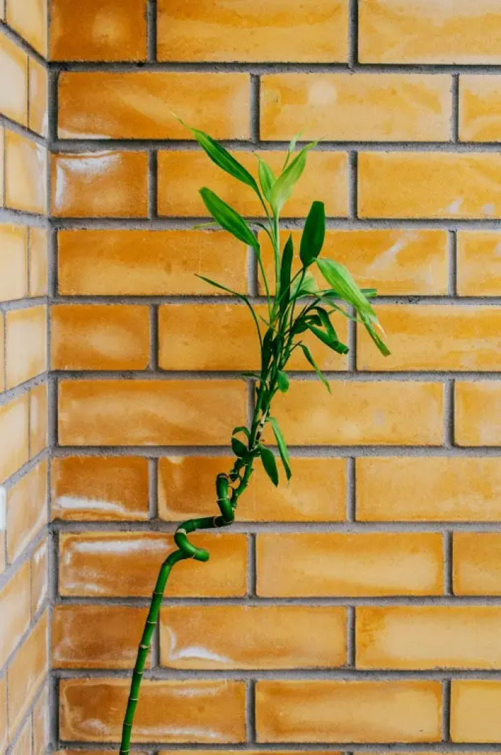 Квартира Pskov City Apartments 2 Lagernaya 5 A