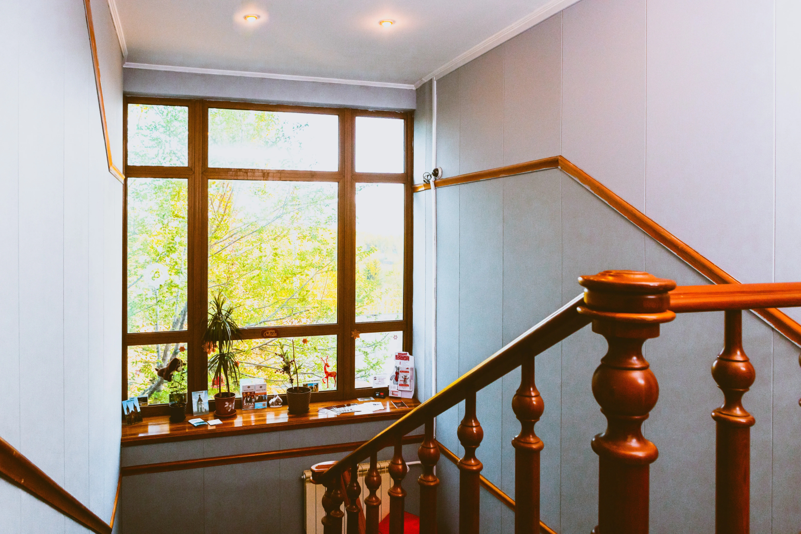 Enisey Hostel