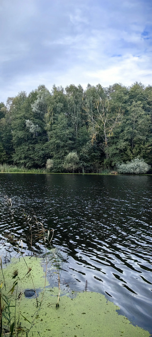 База отдыха Парк Полянка