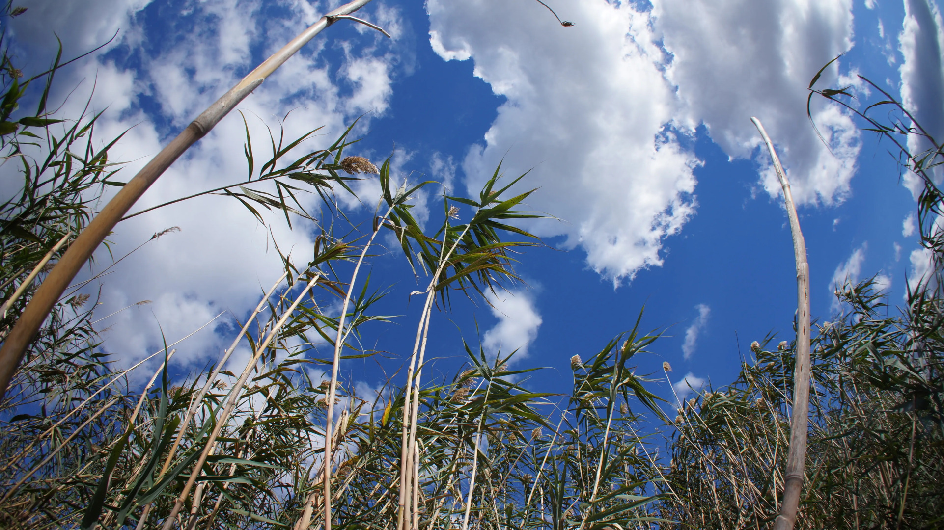 База отдыха Астраханская