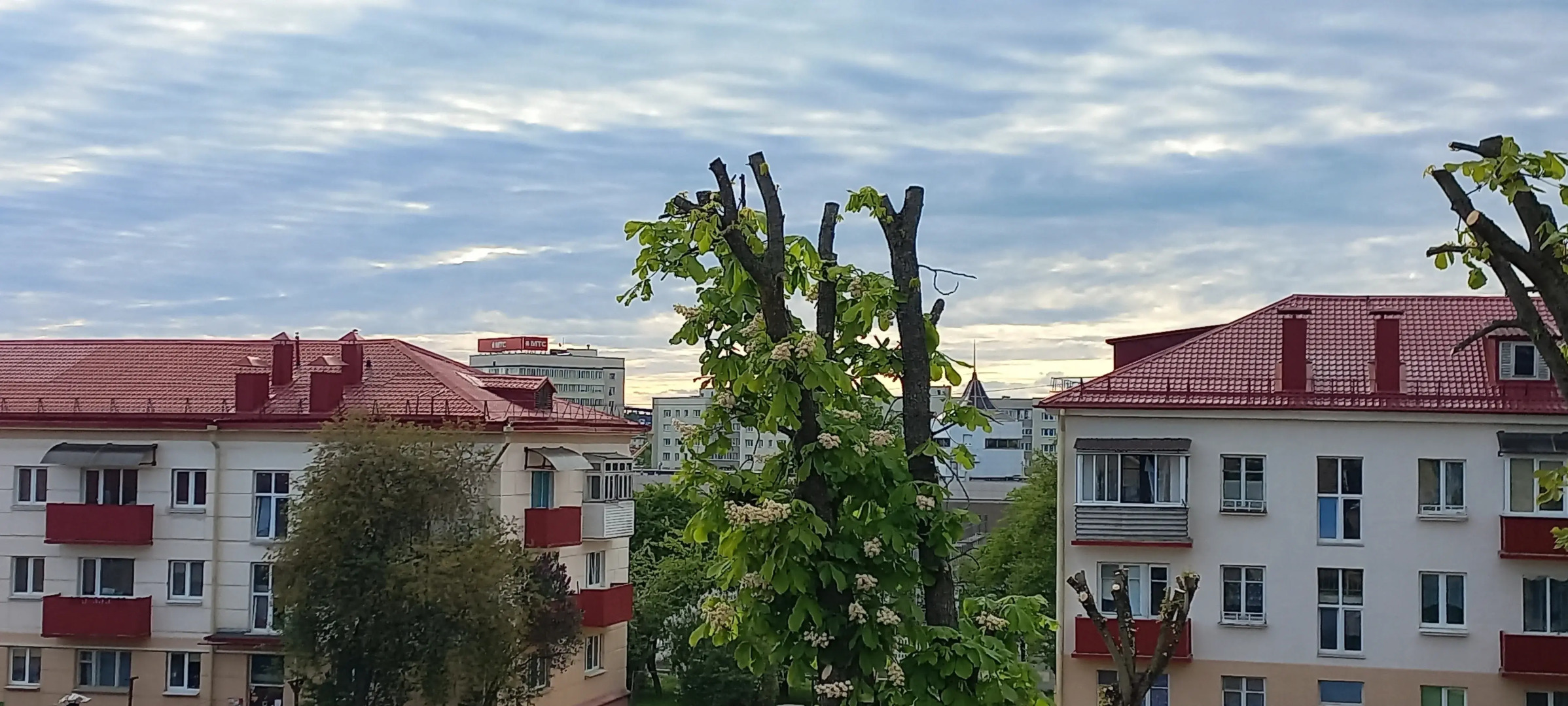 Квартира Студия Гродно