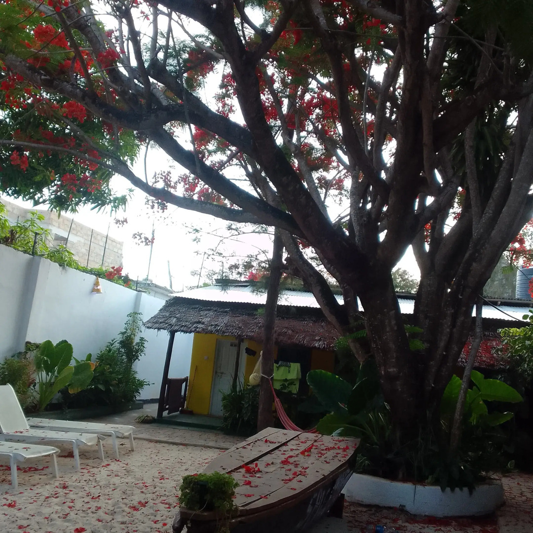 Бунгало Spice sea beach house & restaurant