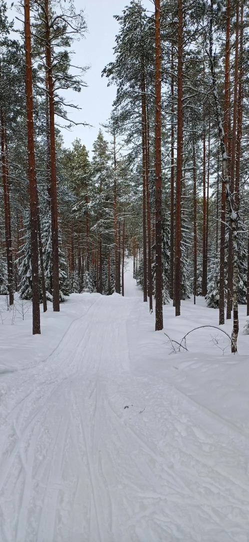 Частный дом Таунхаус в Репино