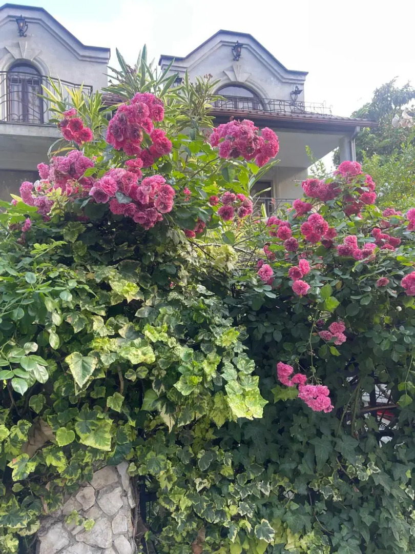 Гостевой дом Енисей