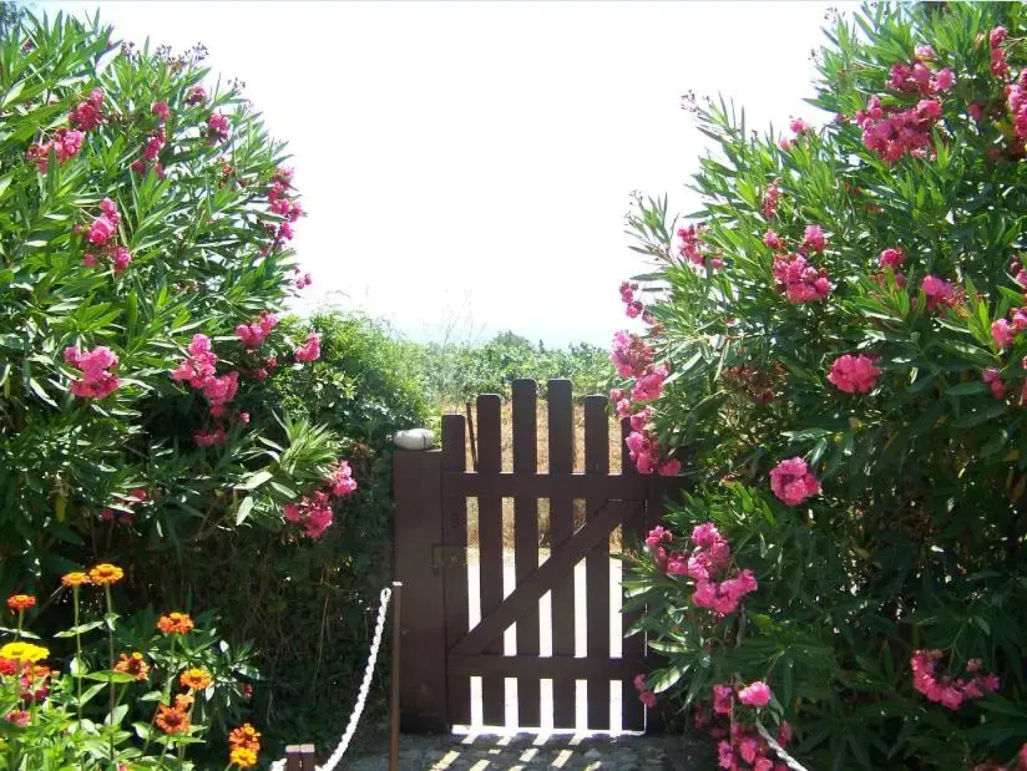 Вилла Tatiana Corfu