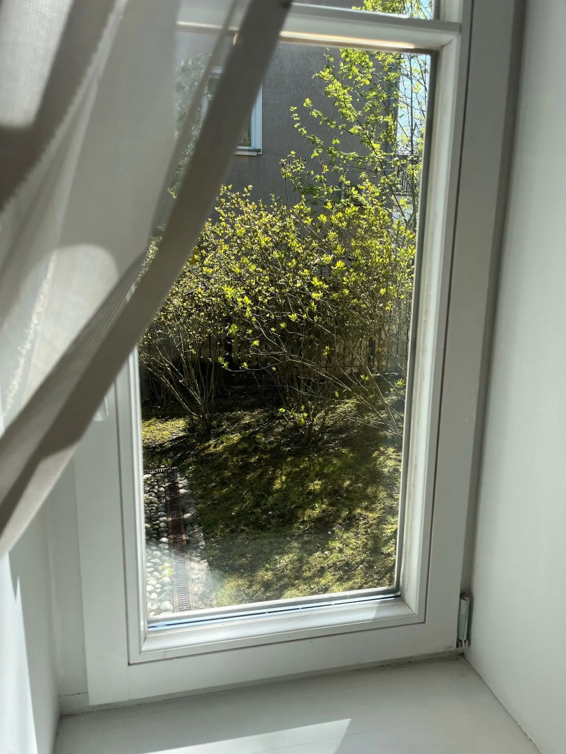 Меблированные комнаты Дом Паткуль