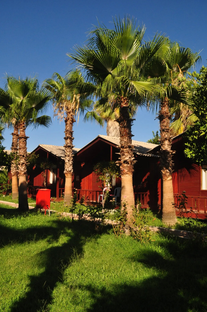 Отель Dream Park Bungalow