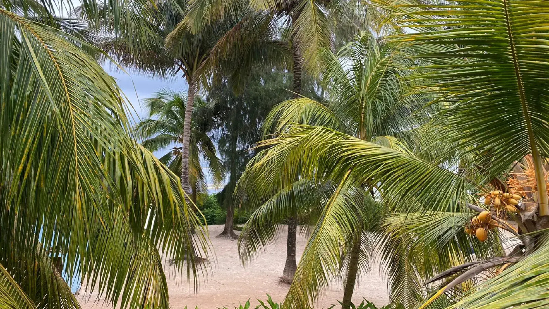 Бунгало Matemwe Baharini Villas