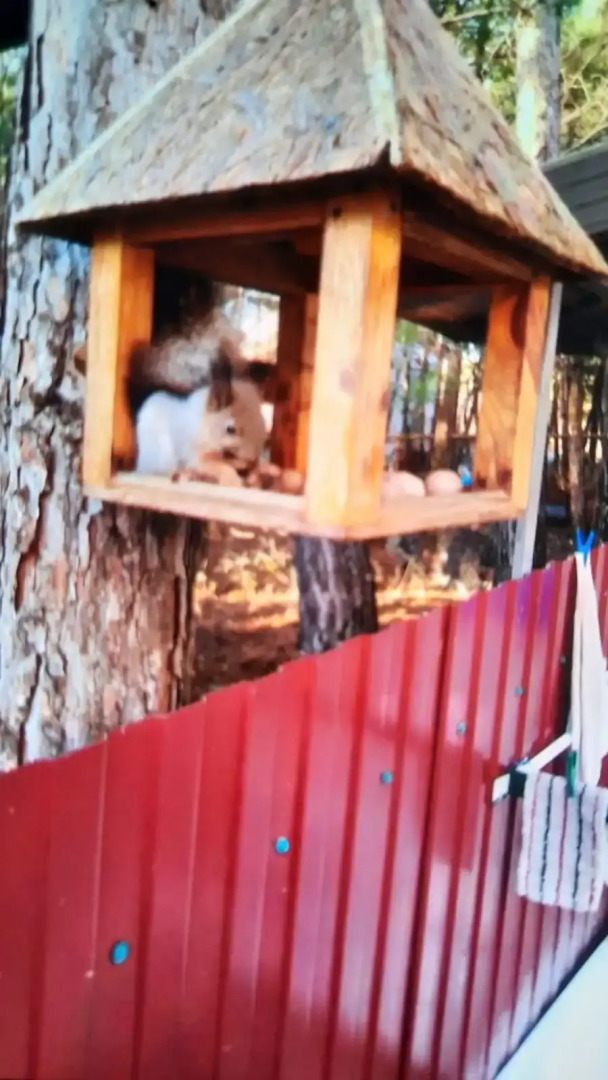 Гостевой Дом у Дяди Федора