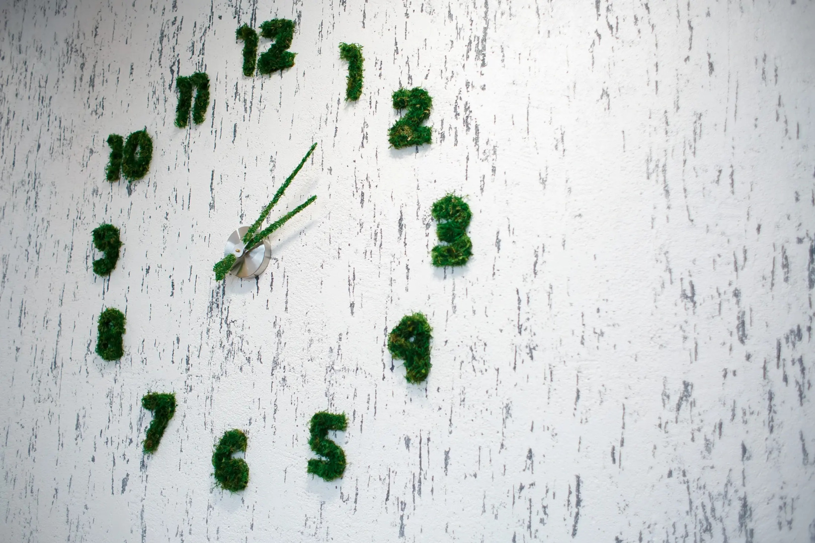 База отдыха Широкая