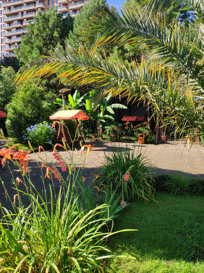 Апартаменты в Дримленд Оазис