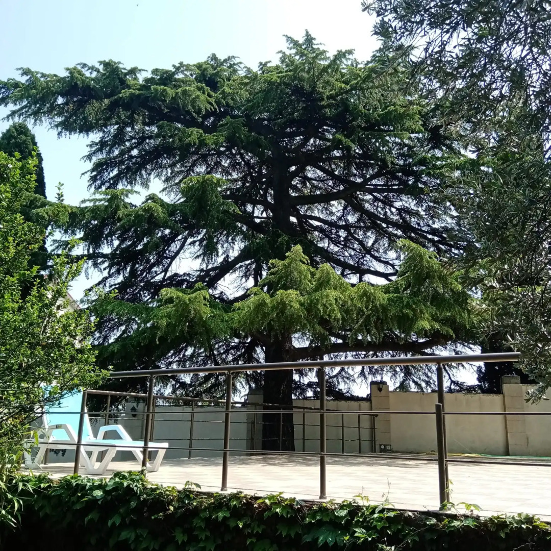 Апартаменты Двухкомнатные на Вилле Каприз