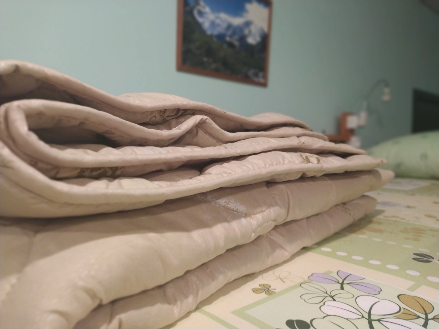 Хостел Аргус