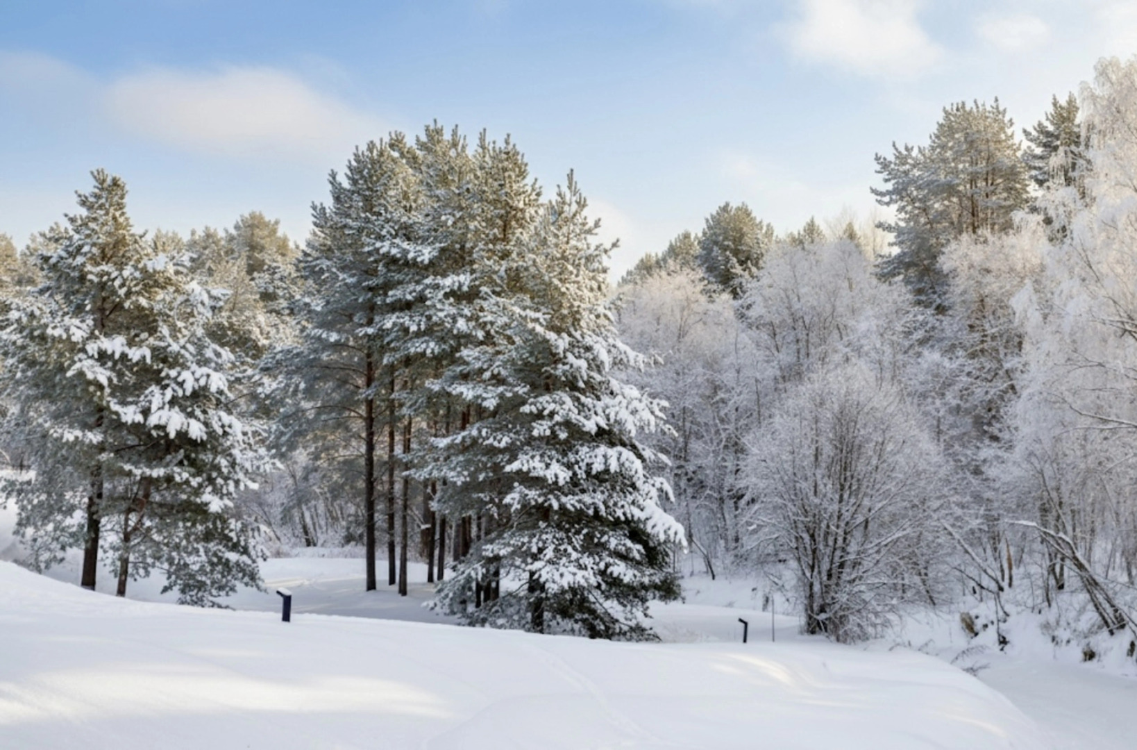 Апартаменты Иvolga с отдельным входом у курорта
