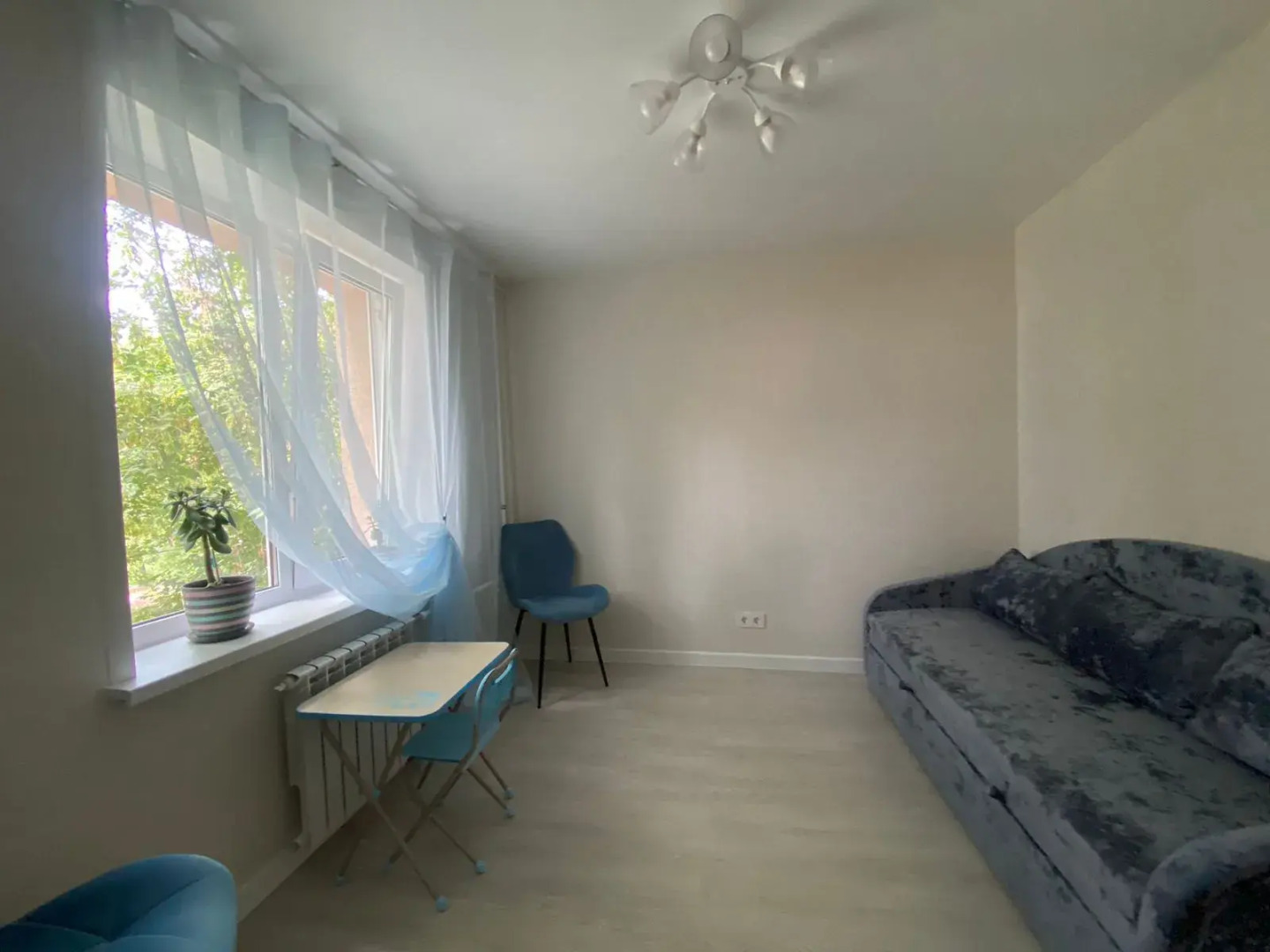 Квартира с замиакулькасами