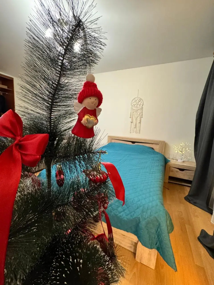 Квартира Современная для праздников