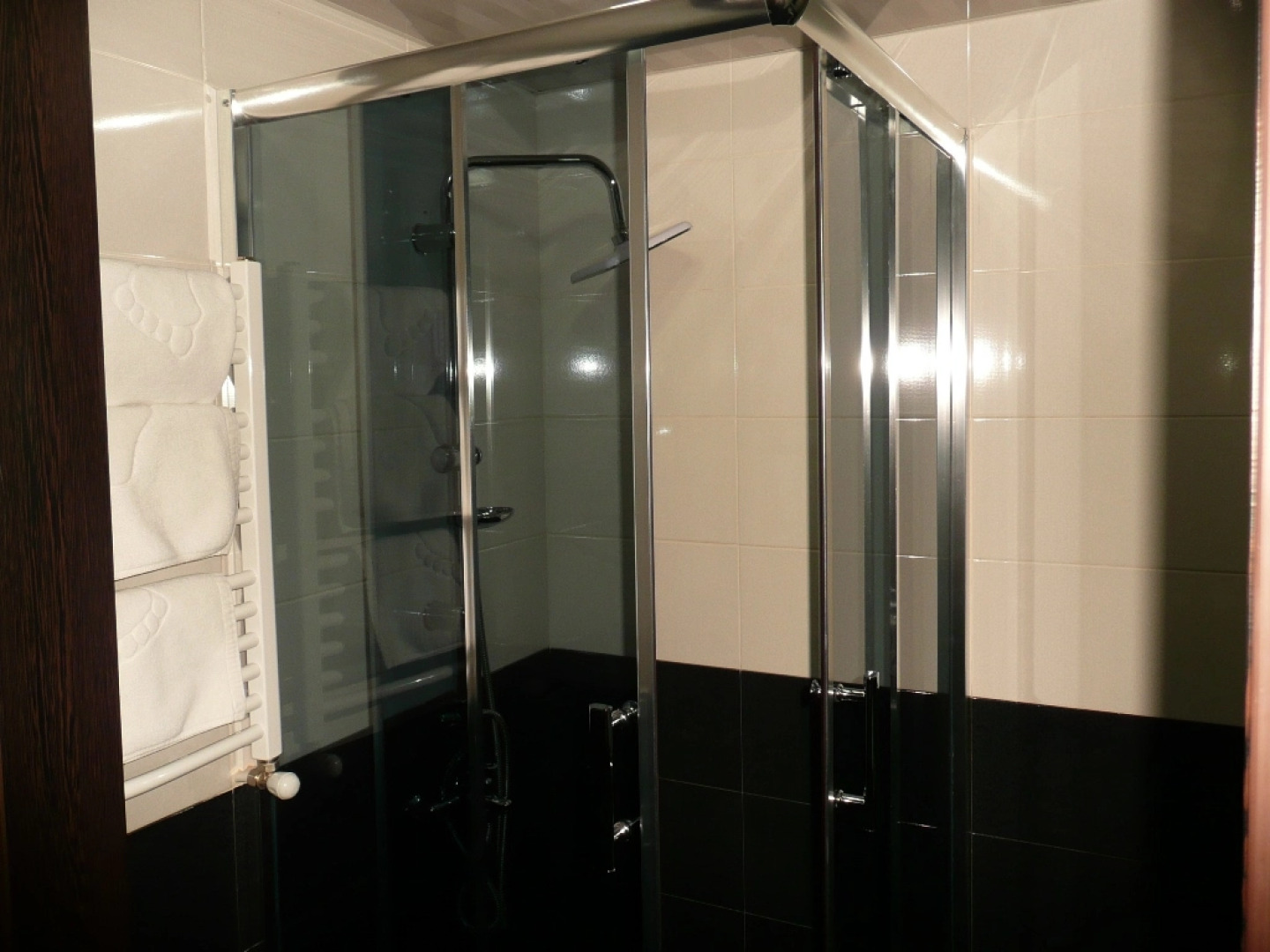 Отель Вояджер