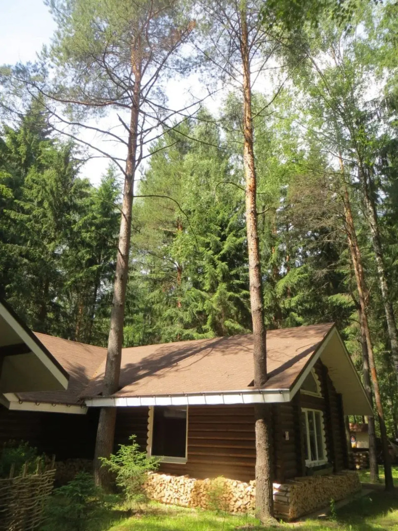 Коттеджи Green Forest Еcoclub