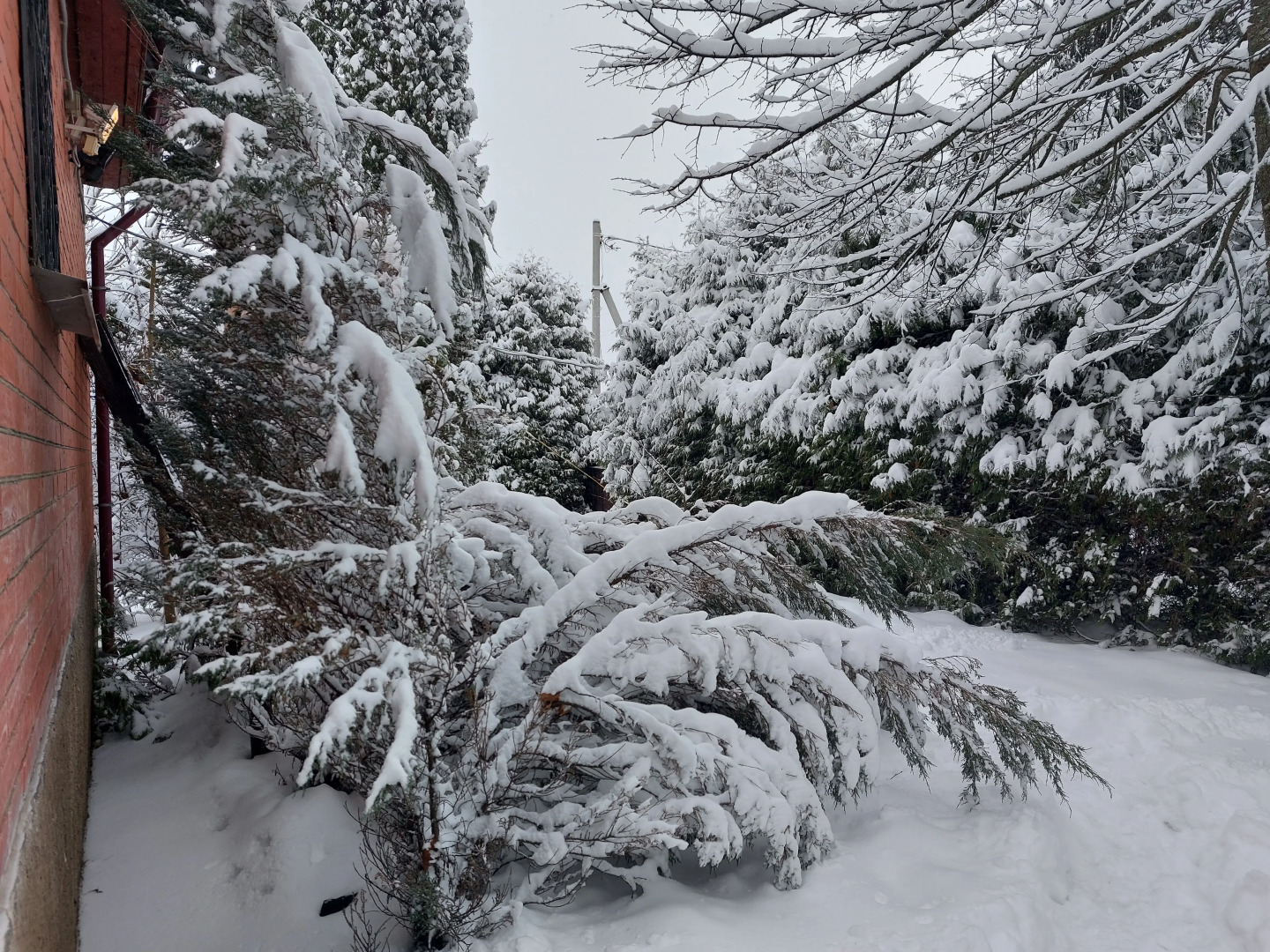 Dlya Dushi I Serdtsa U Mozhayskogo Morya Guest house