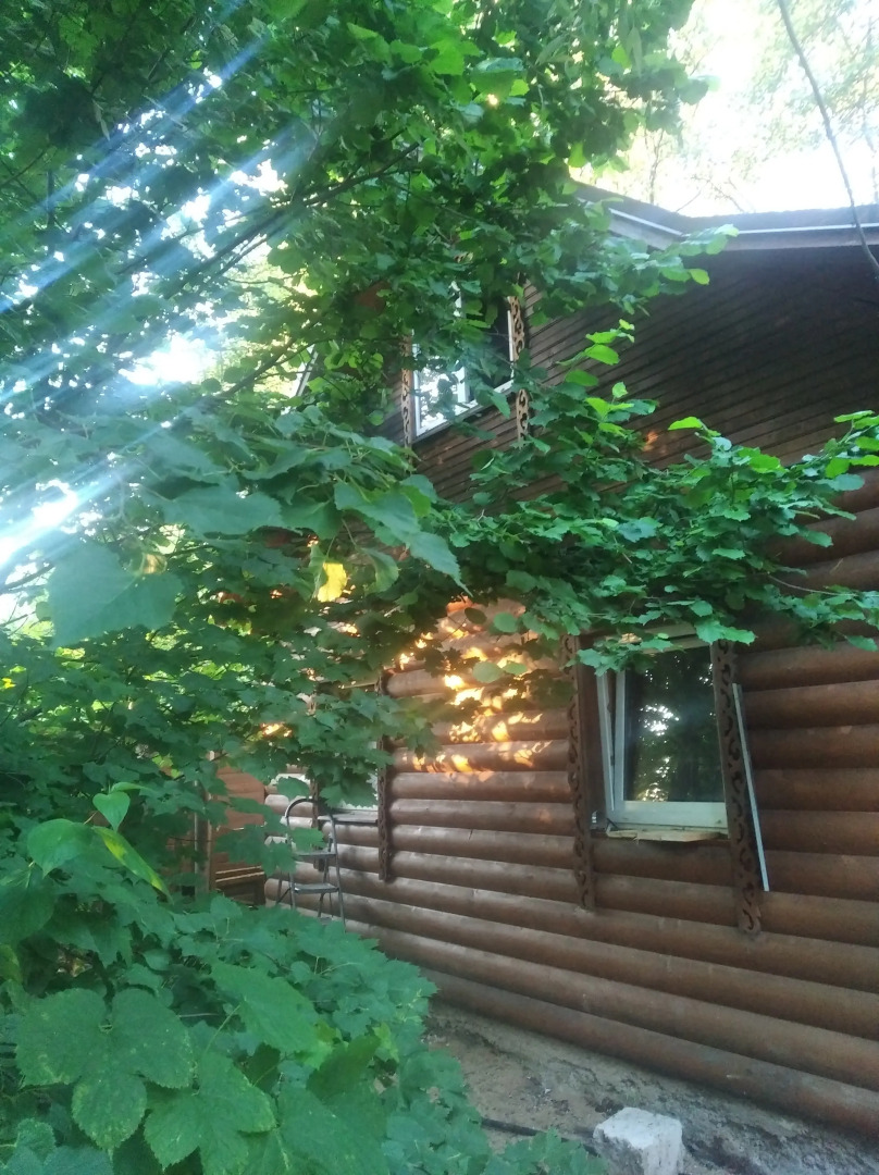 Частный дом Домик с Баней в Саду