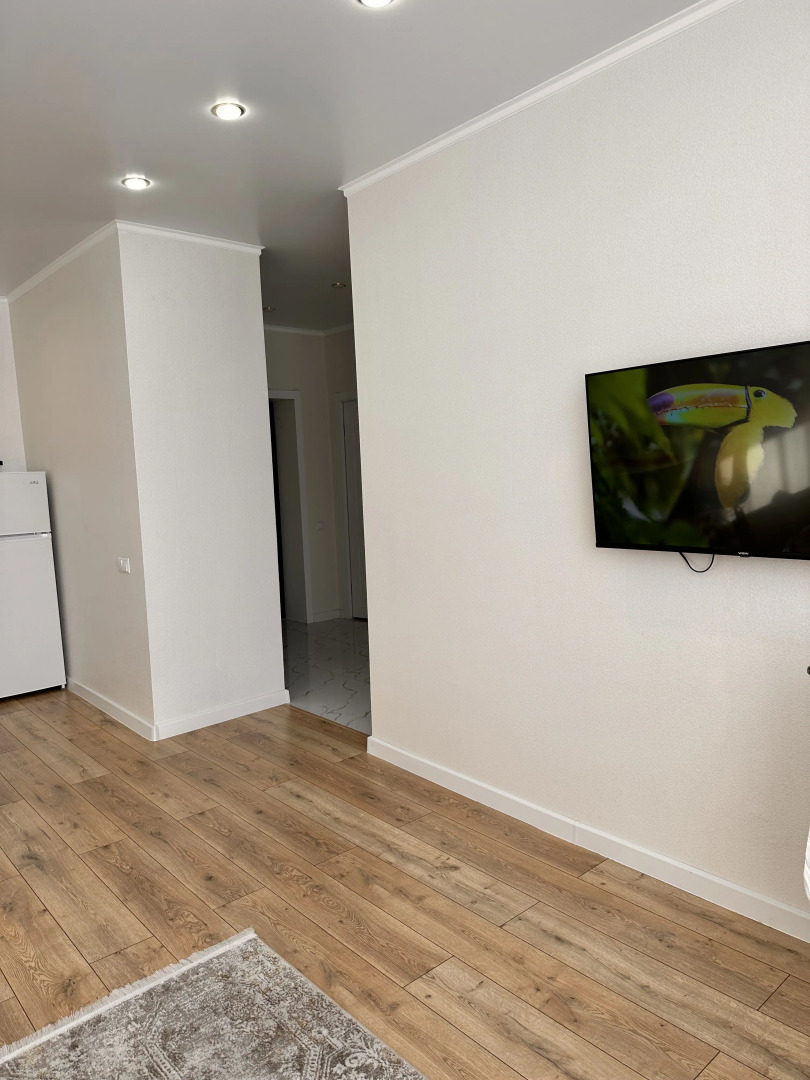 Квартира Аульбекова 120