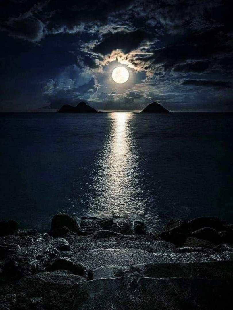 Квартира Море из окна