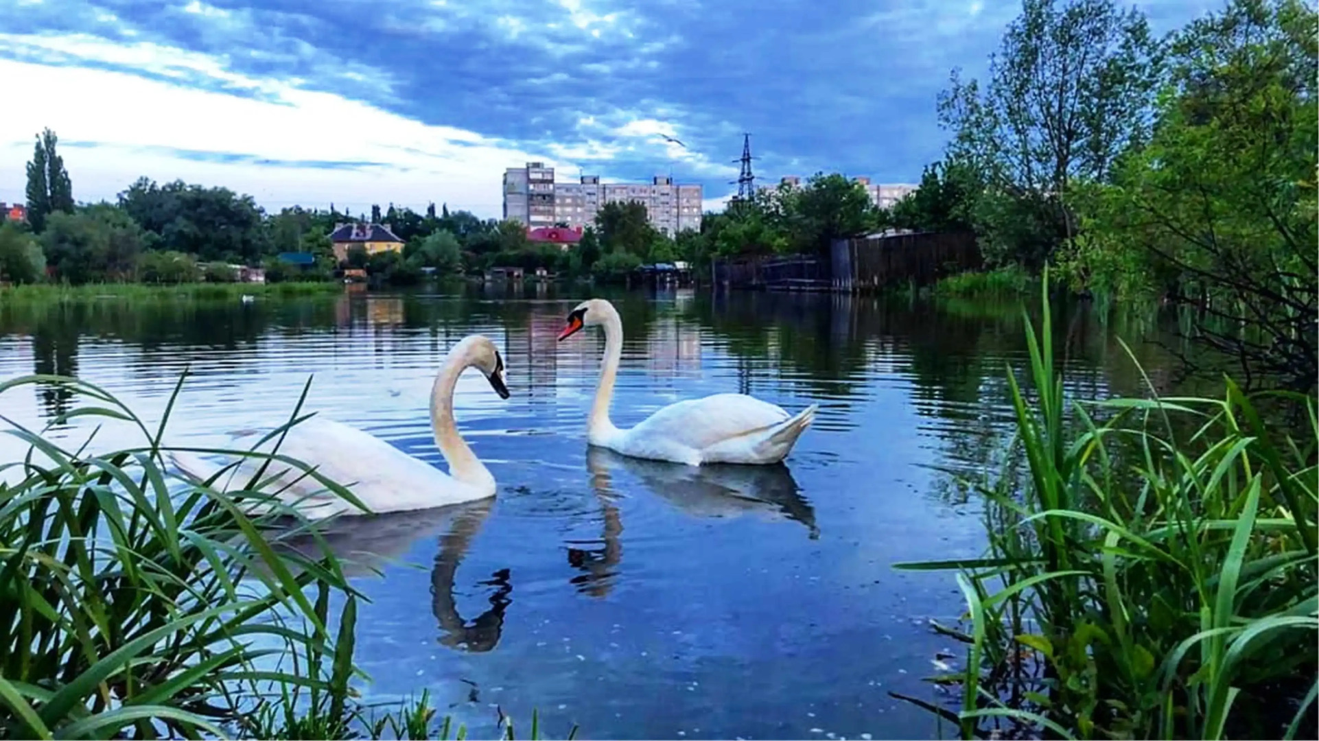 Квартира  MiHome Фантастические Закаты