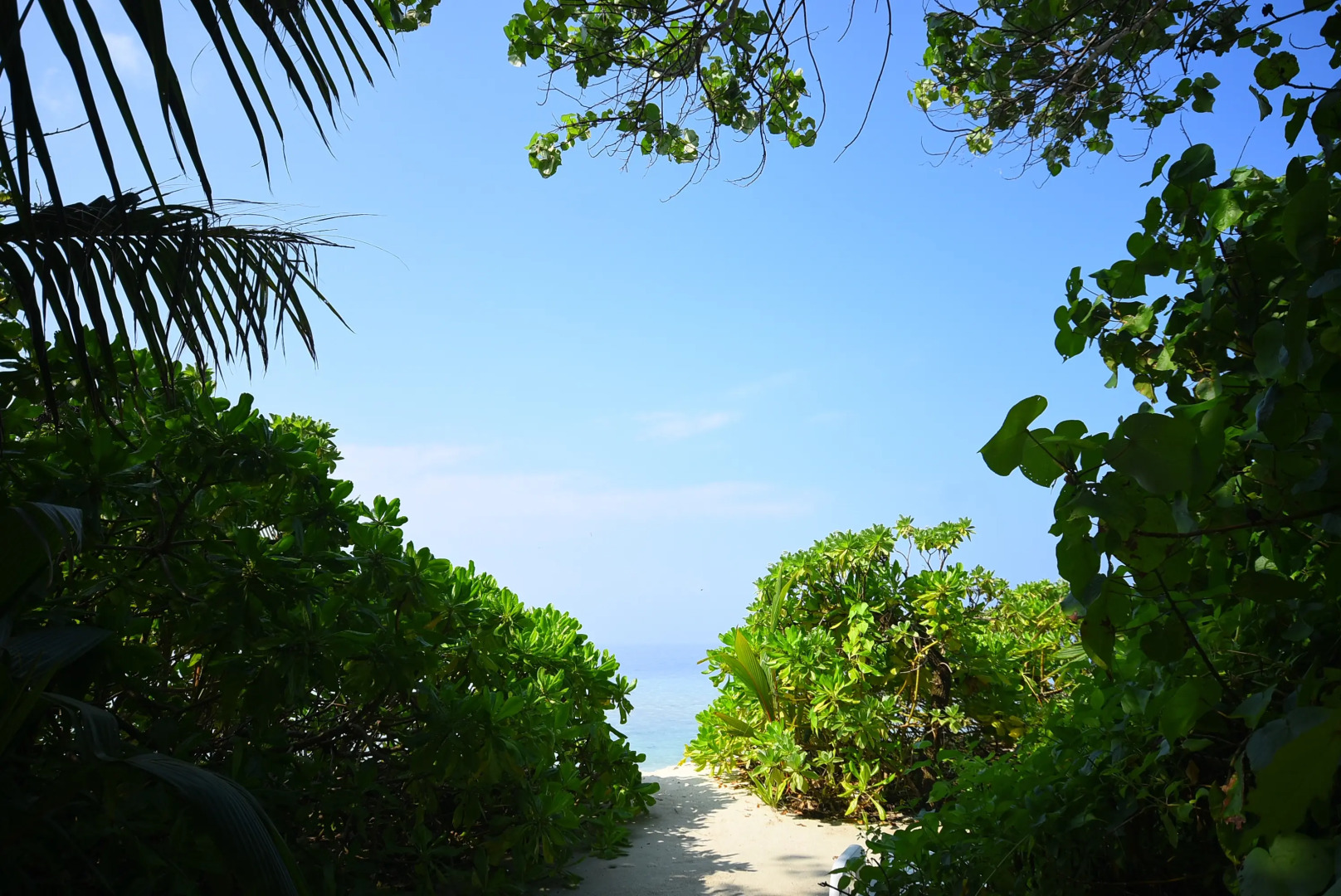 Гостевой Дом Beach Residence
