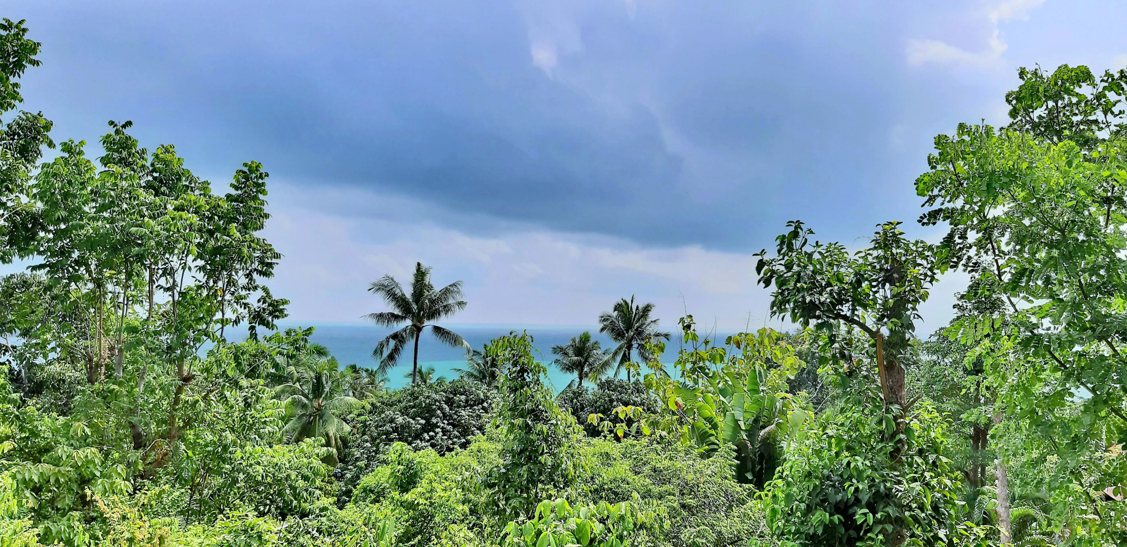 Отель Chaweng Bayview Resort