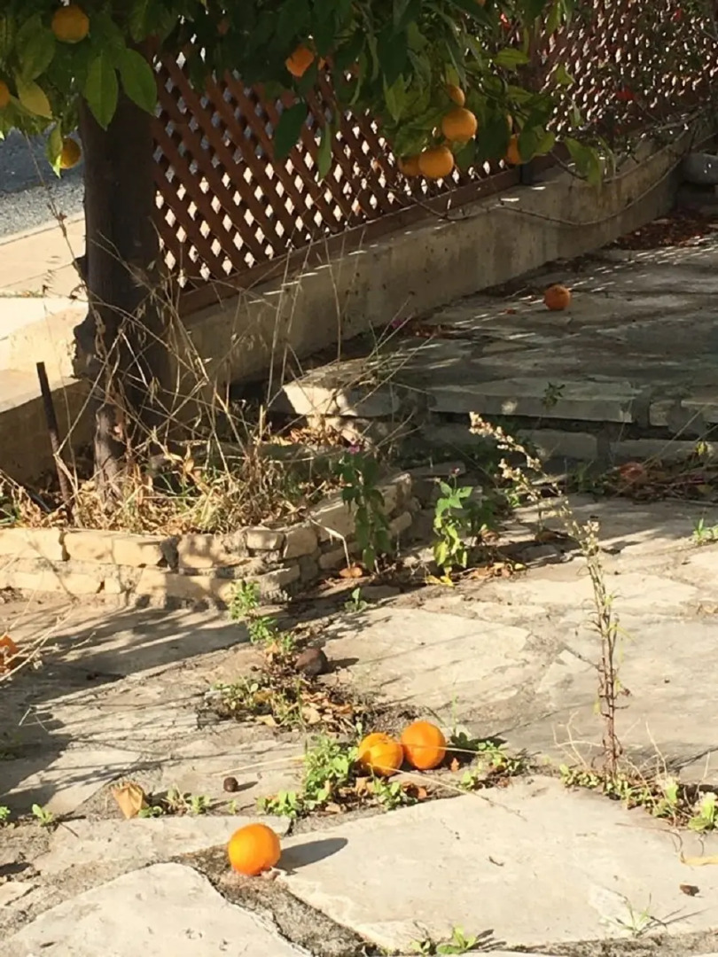 Апартаменты в Като Пафос