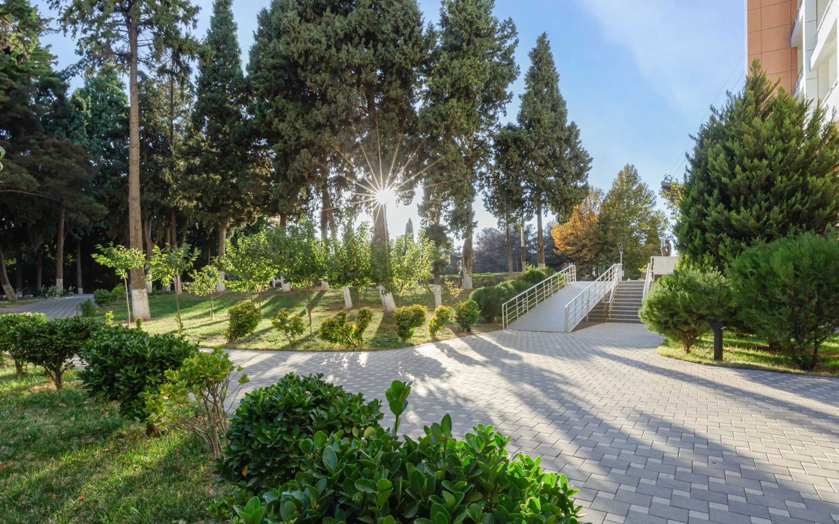 Отель Chinar Health Hotel Naftalan