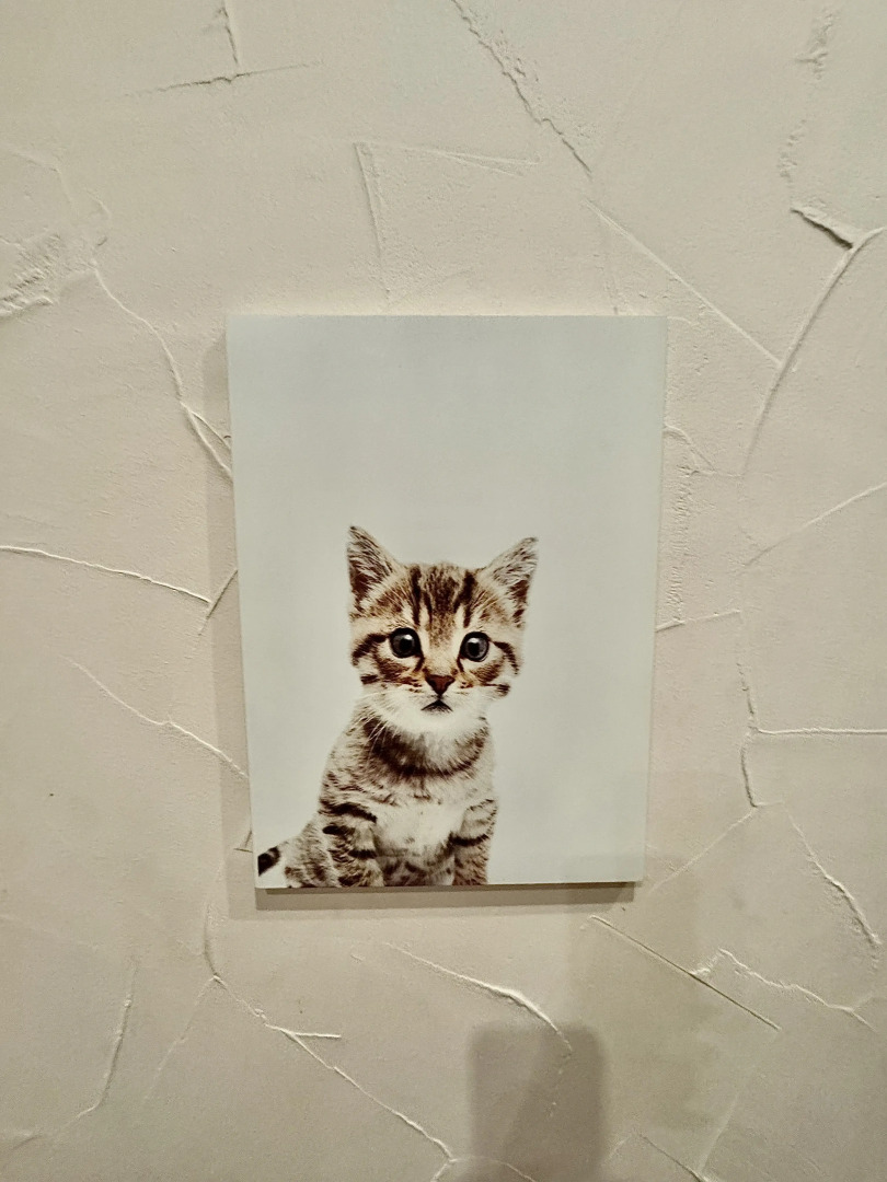 Апартаменты Шикарные апартаменты в нулевом километре Минска с 24/7 заселением