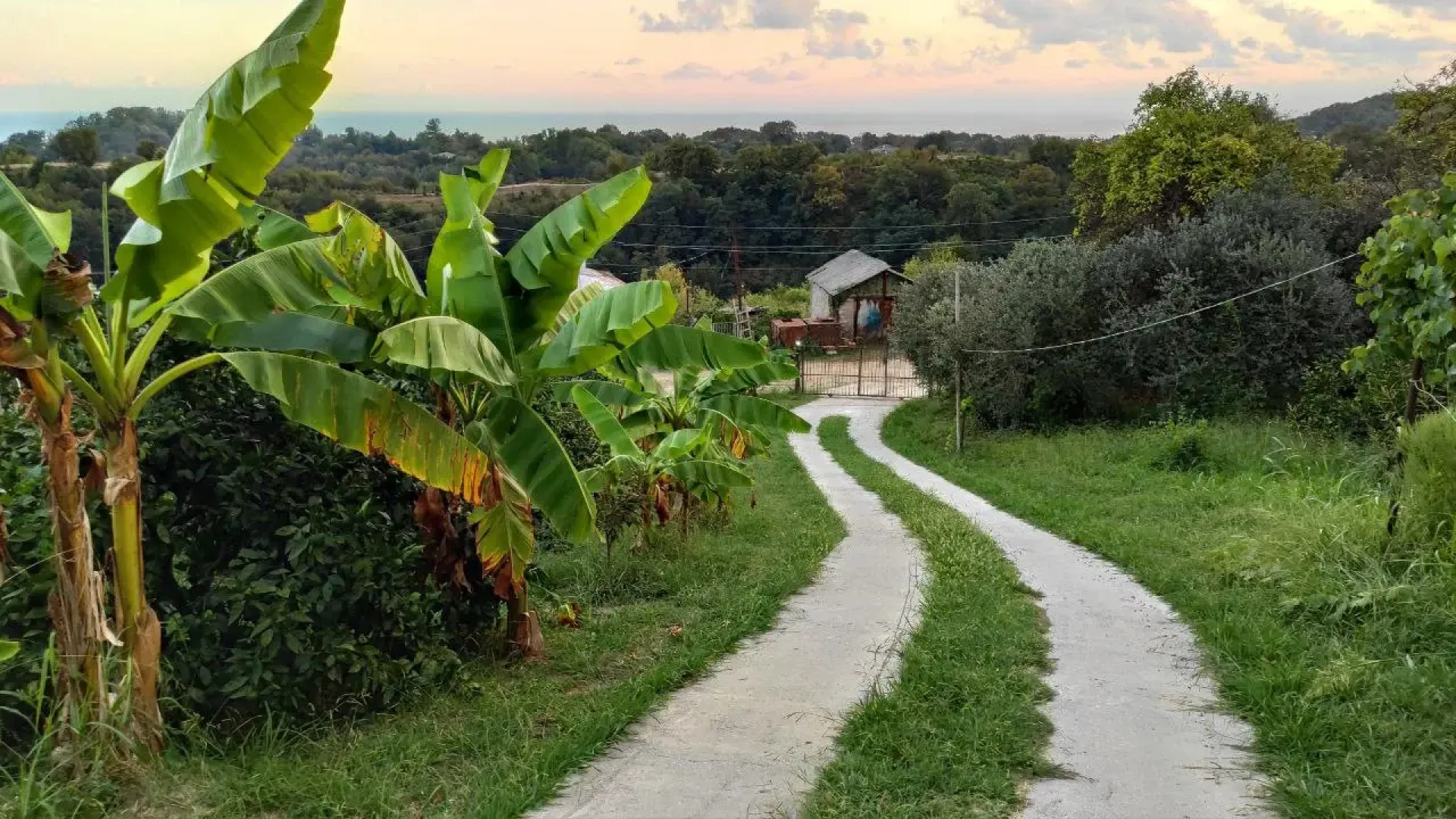 Гостевой дом  У Андрея и Анны