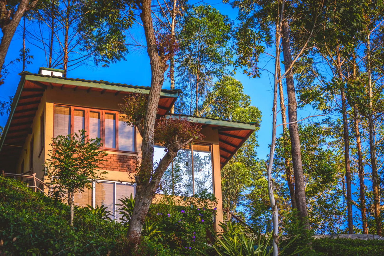 Отель The Tea Cottage Resort & Spa