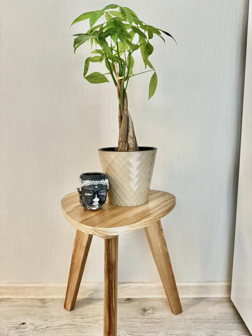 Апартаменты Лайк Милый Дом