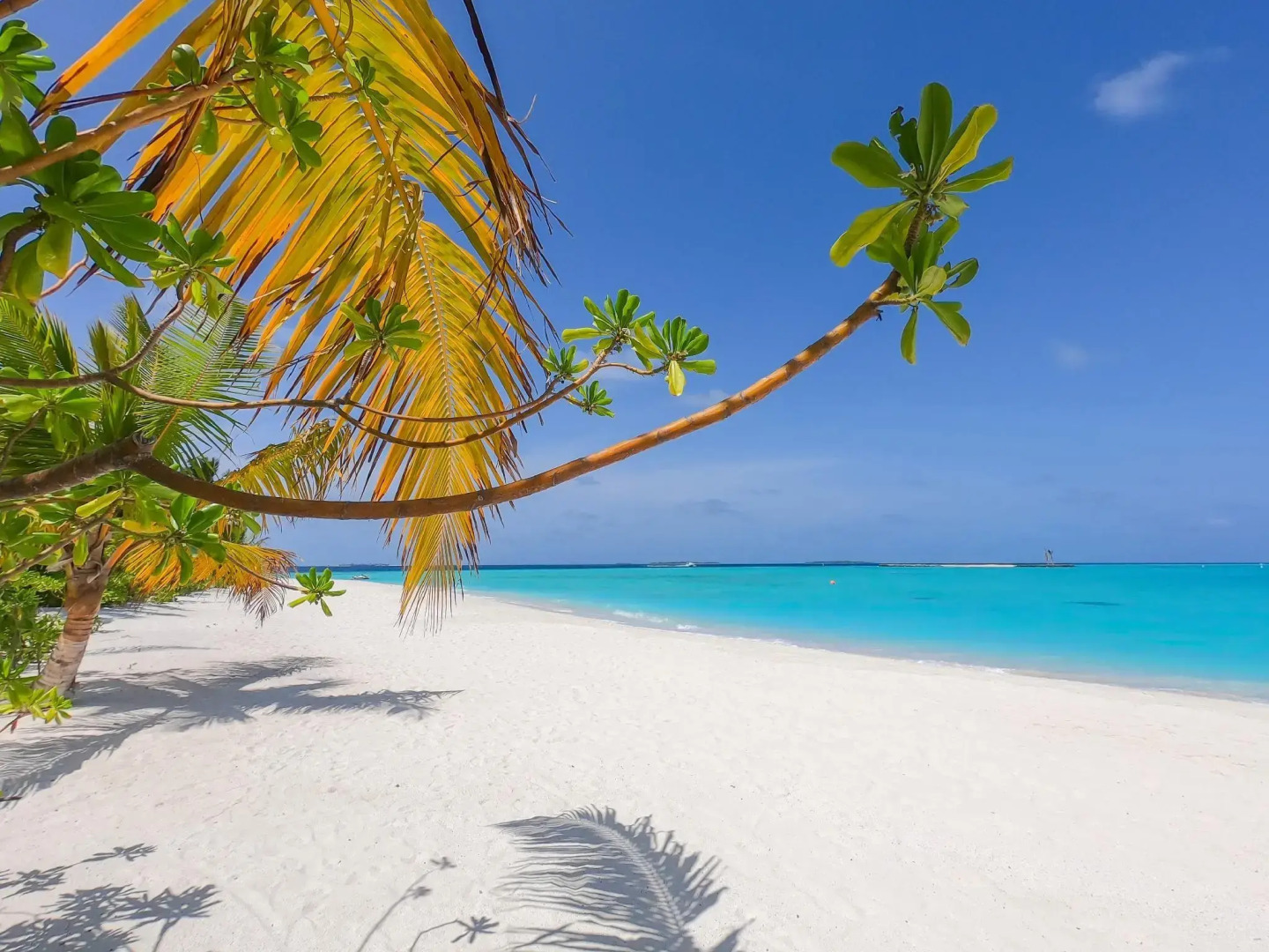 Resort The Standard Huruvalhi Maldives