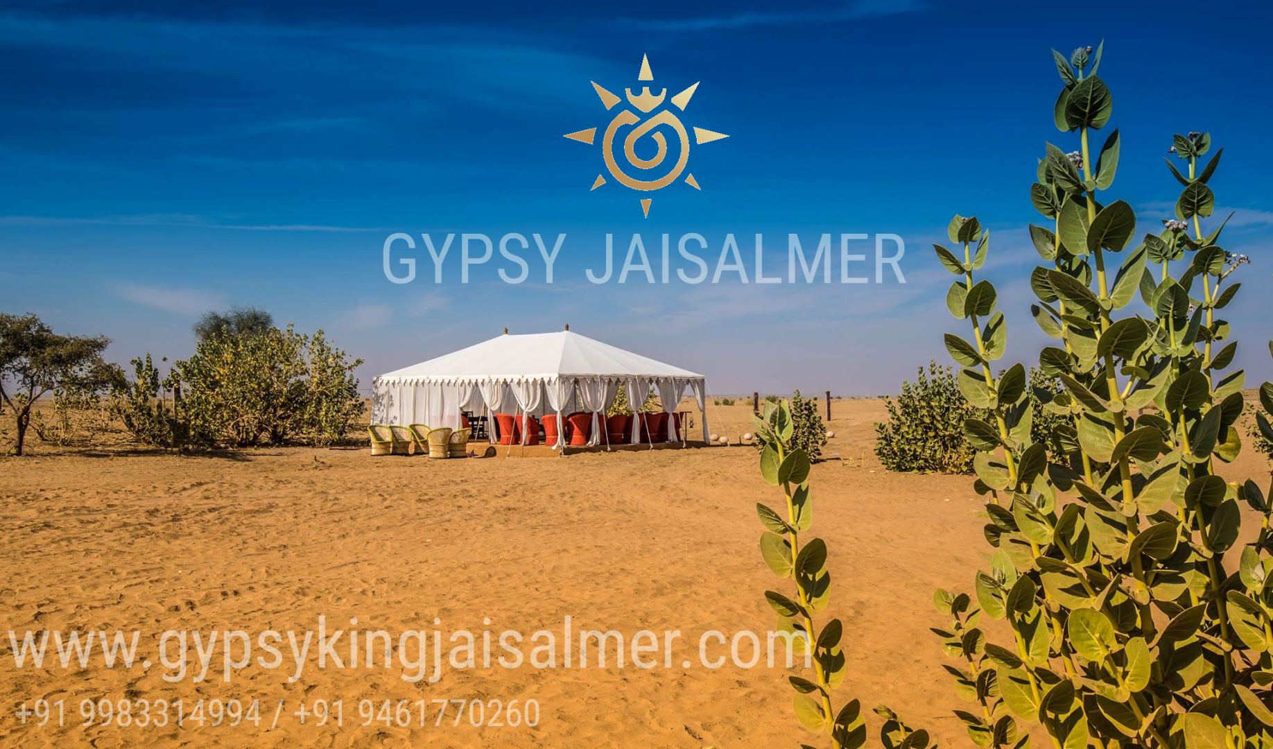 Апартаменты Gypsy King Desert Safari Camps & Resort