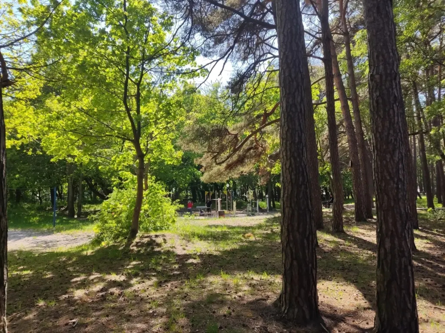 Апартаменты Greenwill