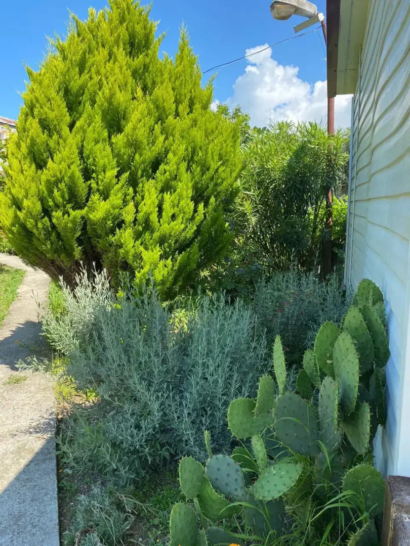 Гостевой дом Анита