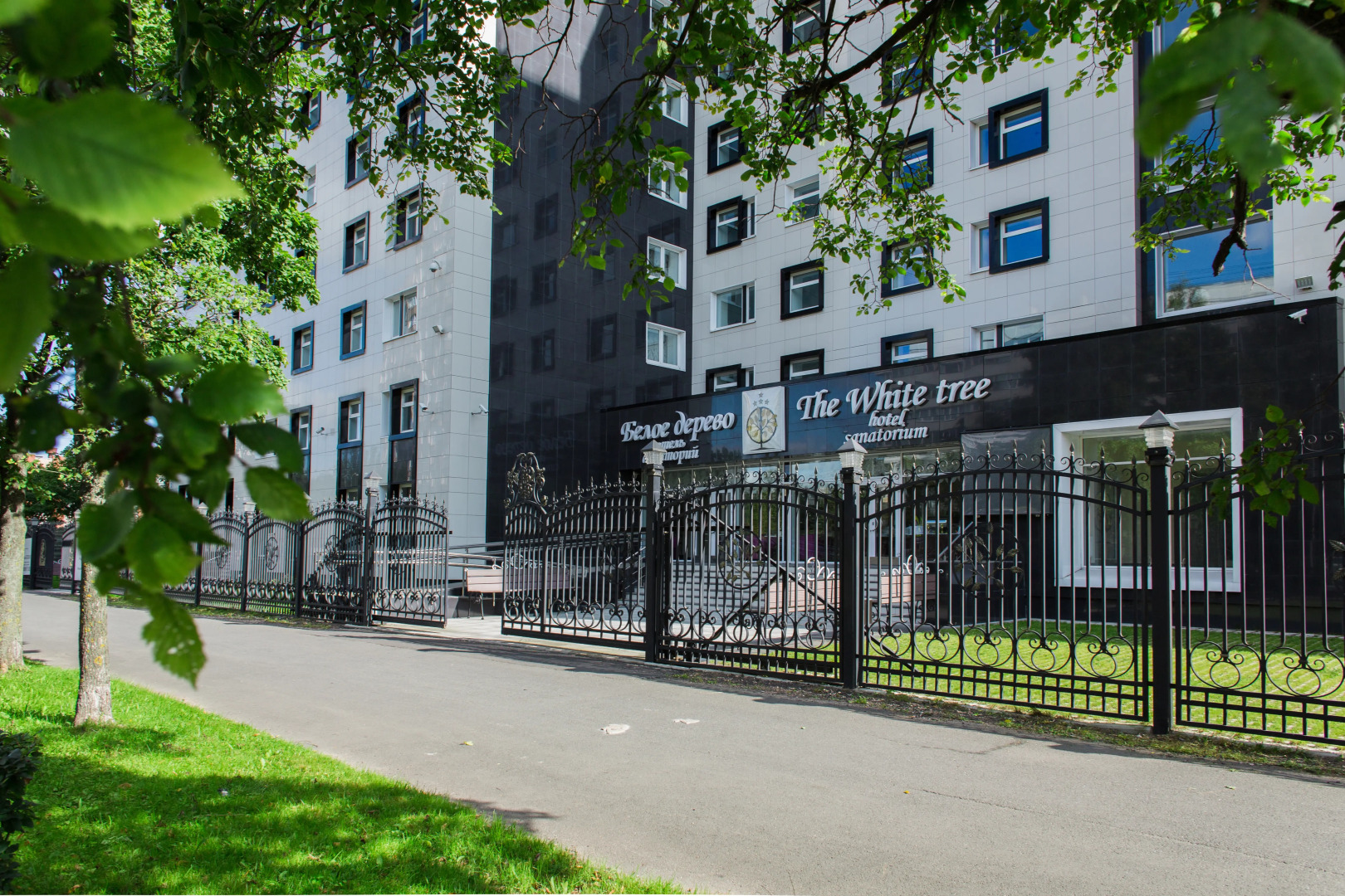 Отель Белое Дерево