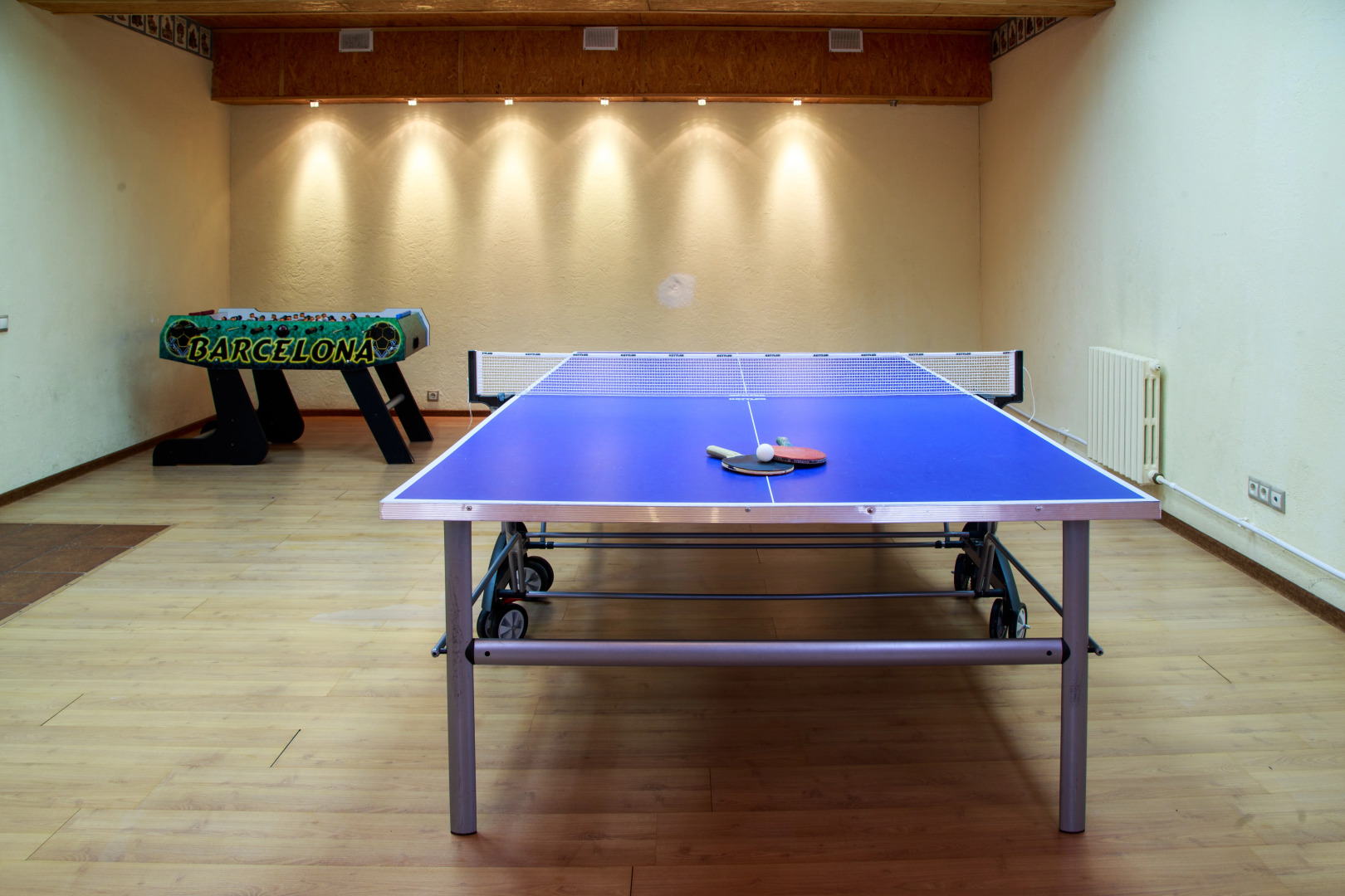 Парк-отель Чеснава