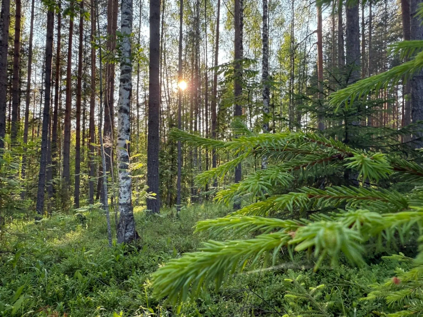 Частный дом в Республике Карелия