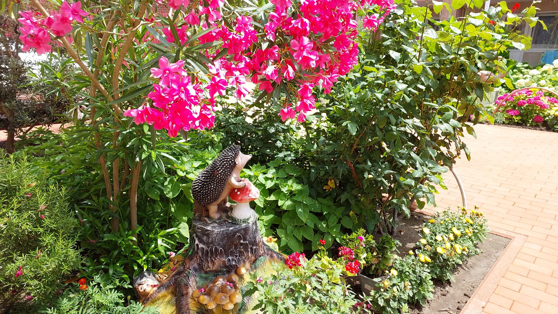 Гостевой Дом Отдых у Александра