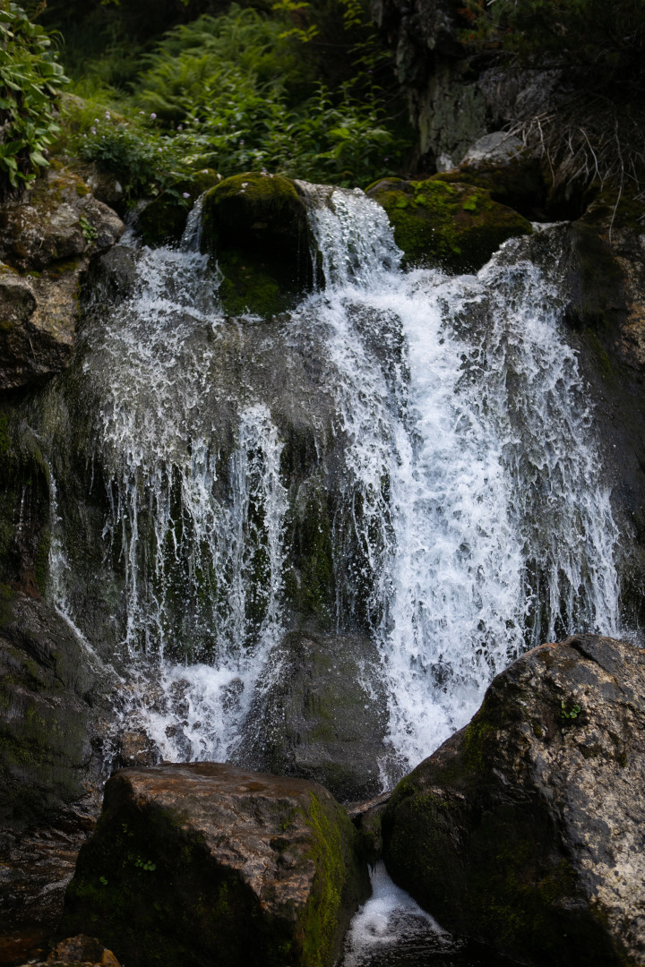 Шале Zvezda Mamaya