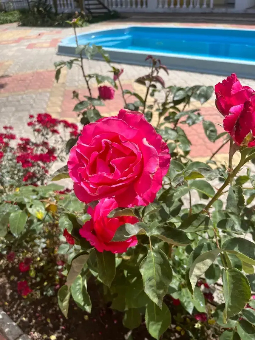 Гостевой Дом Мираж