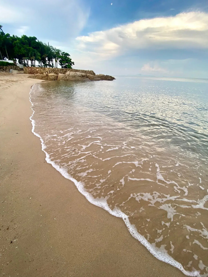 Апартаменты Palm Wongamat Pattaya